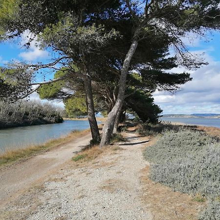 Entre Mer Et Roseaux - Piscine - Proche Centre Et Mer - Petfriendly Port-la-Nouvelle Dış mekan fotoğraf