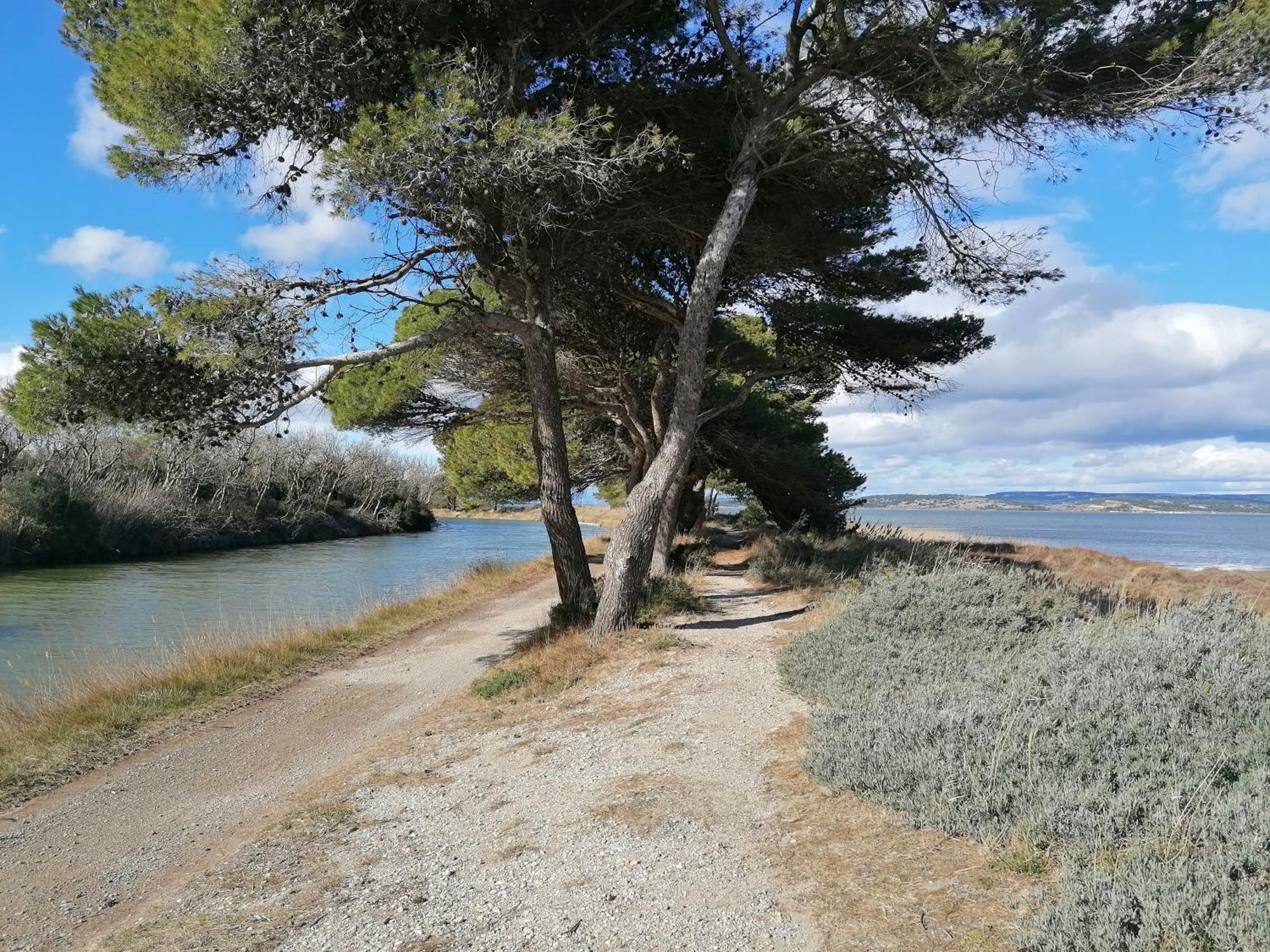 Entre Mer Et Roseaux - Piscine - Proche Centre Et Mer - Petfriendly Port-la-Nouvelle Dış mekan fotoğraf